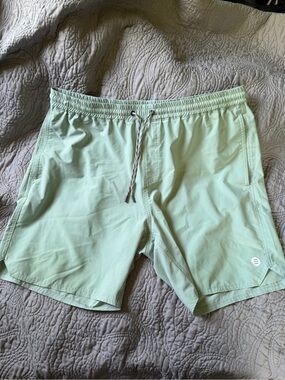 Free Fly Apparel Mint Green Swim Trunks